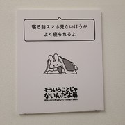 スタッフブログ2227　本日のるいこ（その2）