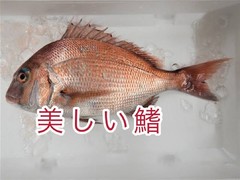 【スタッフブログ1871】本日のあなだ（その1）