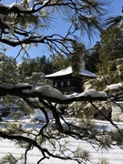 最近の小さな悩みと銀閣寺（その1）